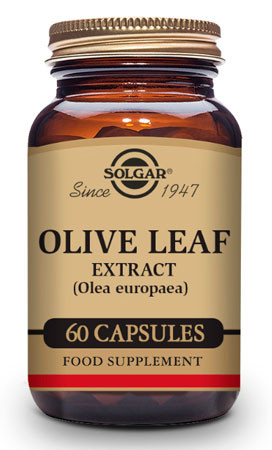 extracto de hoja de olivo para la diabetes