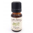 Aceite Esencial de Ciprés Eco Labiatae