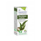 Aceite Esencial de Eucalipto Radiata Esential Aroms