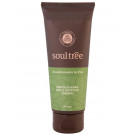 Acondicionador Capilar con Hibisco y Henna Soultree
