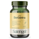 Active Berberina