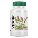 Astragalus de VByotics