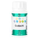 Ayurveda Guduchi