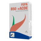 B50 +ACDE
