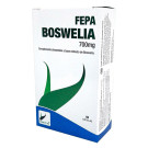 Boswellia 700 mg Fepa