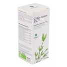 Cellulo Reducto PSC