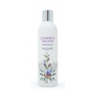 Champú de Salvia Eco Balcare