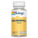 Comprar Clorofila Solaray | Pastillas de Clorofila