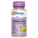 Comprar Tribulus terrestris-Comprar Tribulus Solaray