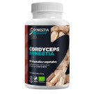 Cordyceps Synestia