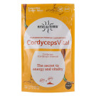 Cordyceps Vital