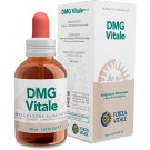 DMG Vitale1