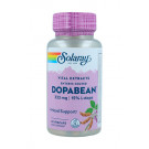 DopaBean (Mucuna pruriens) Solaray