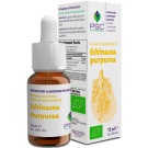 Equinácea purpurea PSC