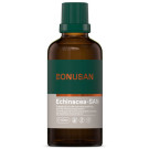 Echinacea-SAN Bonusan