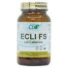 ECLI FS de CFN