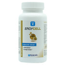 Ergycell