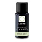Aceite Esencial Eucalipto BIO