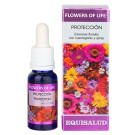 Flowers of Life Protección