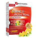Forté Jalea Real Energía
