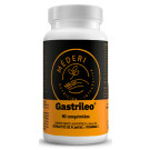 Gastrileo (90 comprimidos)