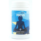 Gheos Focus