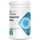 Gheos Supercell Day