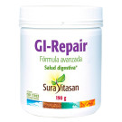 GI-Repair