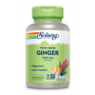 Ginger 1100 mg Solaray