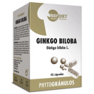Ginkgo Biloba