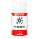 Holomega Molibdeno
