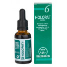 Holopai 6