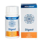 HoloRam Digest