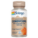 Hongo Cordyceps|Comprar Cordyceps Solaray