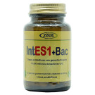 IntES1+Bac