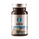 Izar 38 Erlingen