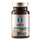 Izar 41 Erlingen 