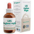 LES Juglans regia