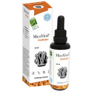 MicoVital Córdiceps