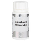 Microbiota Inflamadig