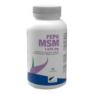 MSM + Vitamina C