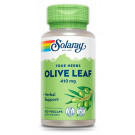 Olive Leaf (Hoja de Olivo) Solaray
