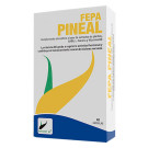 Pineal