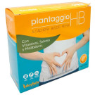 Plantaggio HB
