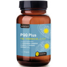 PQQ Plus
