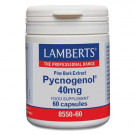 Pycnogenol Lamberts