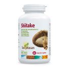 Shiitake 60 cápsulas