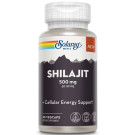 Shilajit 500 mg