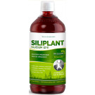 Silicium G7 Siliplant
