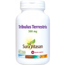 Tribulus terrestris 300 mg